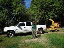 Mid Sierra Musings: Men And Their Trucks II