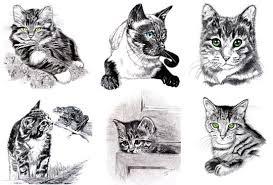 Check spelling or type a new query. 40 Beautiful And Realistic Animal Sketches For Your Inspiration