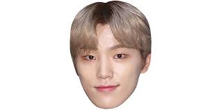 The group consists of 13 members: Dino Seventeen Celebrity Big Head Celebrity Cutouts