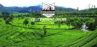 Perkebunan Teh Malabar Pangalengan Visit Pangalengan Wisata Pangalengan Bandung