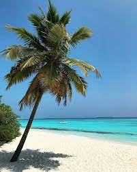 pin auf beaches
