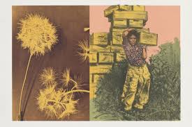 Hung Liu: Living Memory