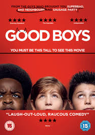 Good Boys Dvd Free Shipping Over 20 Hmv Store