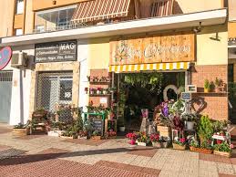 Floristería Los Cocoteros