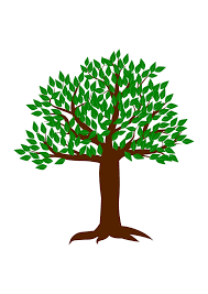 Download Tree With Leaves And Roots Free Svg File Svgheart Com