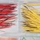 PORCUPINE QUILL PREP & DYEING event image