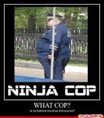98 Stupid Cops Ideas Cops Police Humor Bones Funny