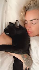 North Loop Area Missing Cat: Our sweet yet sneaky cat named Mr. Kitty  escaped from our cracked window while we were away for a night. We have  been searching all night. He