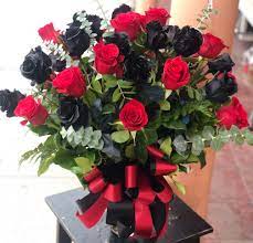 Download the perfect flower image on burst. 36 Roses Red Roses Black Roses By San Jose Flowers