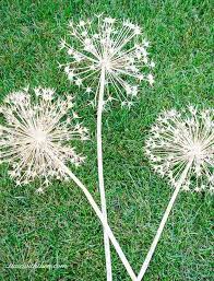 How To Create Gorgeous Metallic Painted Dried Giant Allium Flowers Allium Flowers Garden Art Easiest Flowers To Grow