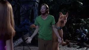 Gang are individually brought to an island resort to investigate strange goings on. The Green T Shirt Of Shaggy Rogers Matthew Lillard In Scooby Doo Spotern