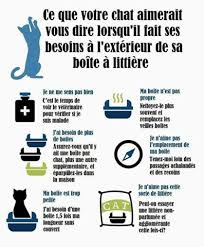 Ce grand poupon boit son biberon rempli d'eau, puis fait pipi sur son pot lorsqu'on lui appuie sur le avoir un poupon sexué aide l'enfant à mieux comprendre son corps, et permet aux petits garçons et petites filles de mieux connaître cette partie. Mon Chat Urine A Cote De Moi Forum Comprendre Son Chat Wamiz