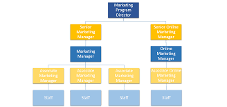 Marketing Organizational Chart