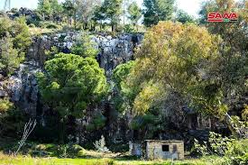 جمال الطبيعة في قرية قرفيص بريف جبلة في محافظة اللاذقية ♥️♥️ #اللاذقية ♥️♥️  الصور نقلا عن وكالة الأنباء السورية سانا 🇸🇾