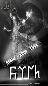 Turkvatan Turkvatan Turk Vatan Bayrak Asker Polis Devlet Mhp Bayrak Turkler Kurt Ruhu