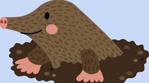 Tak hanya kelas 4, soal di bawah ini juga bisa dijadikan sebagai soal bahasa inggris kelas 2 tentang animal. Report Text Pengertian Unsur Ciri Struktur Contoh Soal