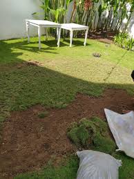 Salah satunya adalah dengan rajin memangkas rumput liar. Pin Di Http Www Jasatamanbali Wordpress Com
