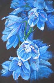 Marion S Floral Art Blog Blue Delphiniums In Oil Pastel Flower Art Oil Pastel Pastel Art