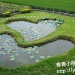 bd3d hd club wuling farm in spring 春之武陵 farm spring country roads