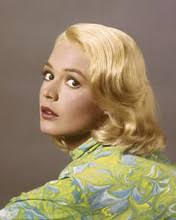 SANDRA GILES PRINTS AND POSTERS 107861