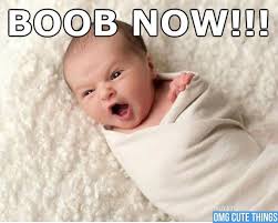 To upload your own template, visit the meme generator and click upload your own image. Funny Baby Memes Home Facebook