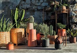 En été, le cactus peut être placé dans un lieu ensoleillé et chaud. Choisir Et Planter Des Cactus Dans Le Jardin