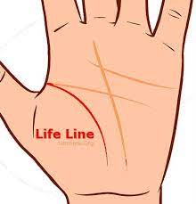 How To Read Palms The Life Line Sun Signs Palm Reading Reading Tarot Cards Tarot Cards For Beginners