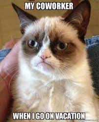 My Coworker When I Go On Vacation Grumpy Cat Make A Meme