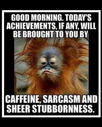 images?q=tbn:ANd9GcRY0p_cQCXVY-rbQMbPJeF