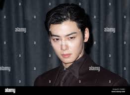 Cha eun woo hi-res stock photography and images