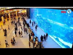 Over 400 sharks and rays live in our 10 million litre tank, including sand tiger sharks, giant groupers, and a host of other marine species. Dubai Mall World S Largest Shopping Mall 2019 Hd Youtube