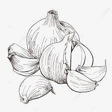 Menjelang aidilfitri, setiap insan pastinya akan menggunakan kesempatan ini dengan menyampaikan ucapan memohon maaf mahupun ucapan selamat menyambut hari raya aidilfitri. Gambar Beribu Ribu Lukisan Garisan Bawang Putih Yang Dilukis Dengan Tangan Png Clipart Bawang Putih Tangan Dicat Lukisan Garis Png Dan Psd Untuk Muat Turun Percuma