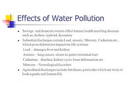 Environmental pollution is one the greatest challenges that the world is facing today. Environmental Pollution Water Pollution Impacts On Human Health Impacts On Aquatic Life Impact On Soil Water Pollution Facts