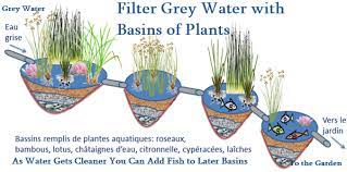 Reusing greywater in your home or business can save the planet and your budget. Filter Grey Water With Basins Of Plants The Homestead Survival