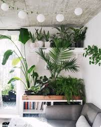 Jeannie Phan Green Studio Space Studioplants Jeanniephan Interior Plants Indoor Plants Plants