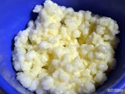 How To Maintain Kefir Grains Kefir Grains Kefir Recipes Kefir Yogurt