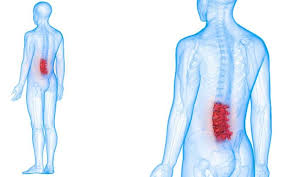 You signed in with another tab or window. Dc Physiotherapy Low Back Pain