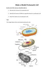 From prokaryotic cells to eukaryotic cells. Make A Model Prokaryotic Bacterial Cell Teaching Resources