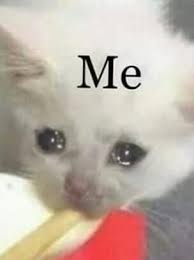 Pin On Animal Memes