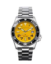 Image result for diving watch