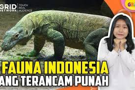 Mengidentifikasi kewajiban manusia terhadap hutan, sungai, hewan yang terancam punah dan terhadap pohonkelas 4 tema 9 subtema 1 pb 6kurikulum 2013sekolah dasar Akibat Perburuan Liar 5 Hewan Asal Indonesia Ini Juga Terancam Punah Salah Satunya Komodo Kids