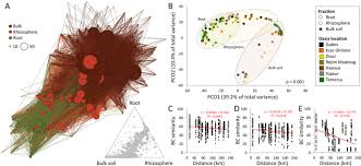 Consistent Bacterial Selection By Date Palm Root System Across Heterogeneous Desert Oasis Agroecosystems Scientific Reports