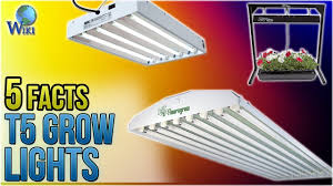 Maybe you would like to learn more about one of these? T5 Grow Lights 5 Fast Facts Youtube