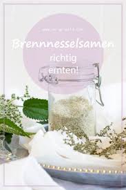 Brennesselsamen Ernten Leicht Gemacht So Geht S Richtig In 2020 Brennesselsamen Krauterbutter Selber Machen Tipps Gegen Heisshunger