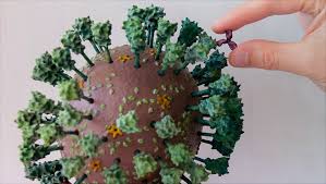When grown kids move back in. Network Against The Coronavirus Universitat Hamburg