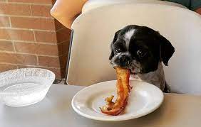 My Dog Ate Bacon Will He Get Sick Our Fit Pets