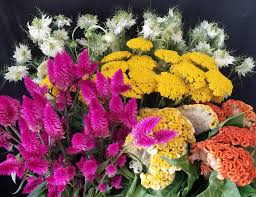 Floral arrangements, floral design, wedding and special events flowers, custom silk arrangements for home decor floral. Clmkvo270zo9zm