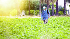 For anyone who performs financial analysis in excelexcel resourceslearn excel. How Covid 19 Lawsuits Are Impacting Bayer S Glyphosate Pricing Strategy Agribusiness Global