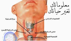 مرض الغدة الدرقية تعرف على الامراض التى تصيب الغدد الدرقية المنام