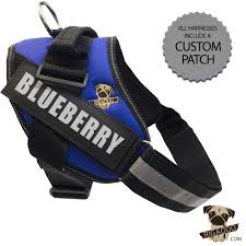 Rigadoo Dog Harness Blueberry